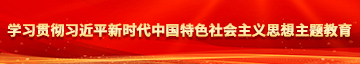 大鸡巴暴操中国女人屄视频学习贯彻习近平新时代中国特色社会主义思想主题教育